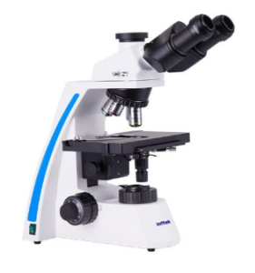 MSC-B31M Biological Microscope